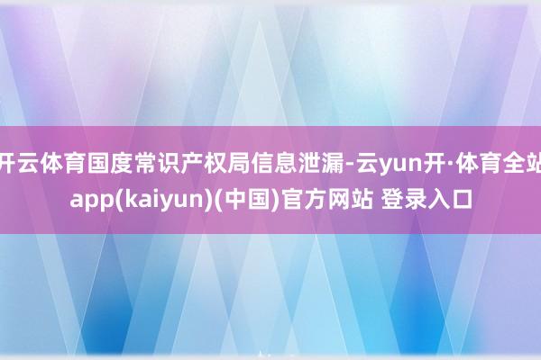 开云体育国度常识产权局信息泄漏-云yun开·体育全站app(kaiyun)(中国)官方网站 登录入口
