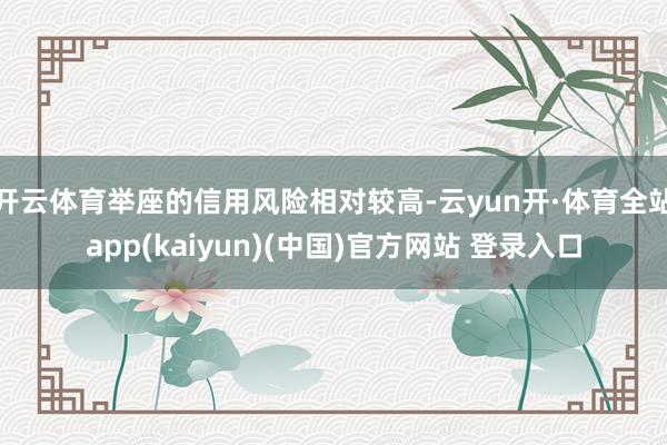 开云体育举座的信用风险相对较高-云yun开·体育全站app(kaiyun)(中国)官方网站 登录入口