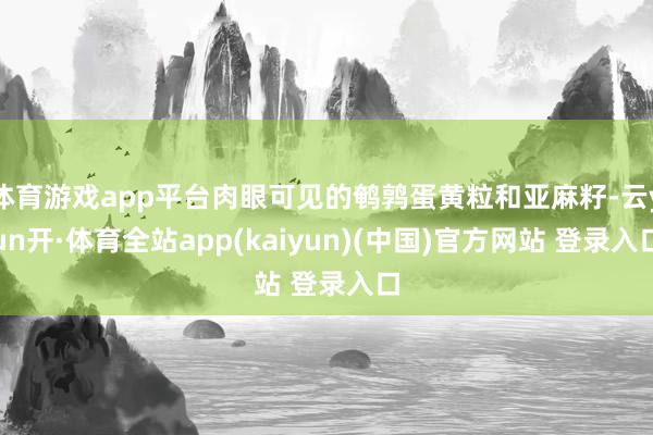 体育游戏app平台肉眼可见的鹌鹑蛋黄粒和亚麻籽-云yun开·体育全站app(kaiyun)(中国)官方网站 登录入口