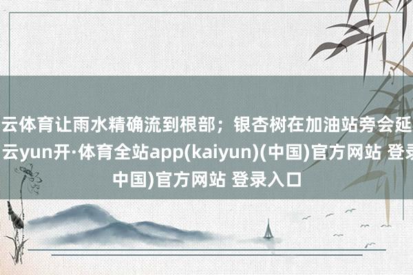 开云体育让雨水精确流到根部;银杏树在加油站旁会延缓滋长-云yun开·体育全站app(kaiyun)(中国)官方网站 登录入口